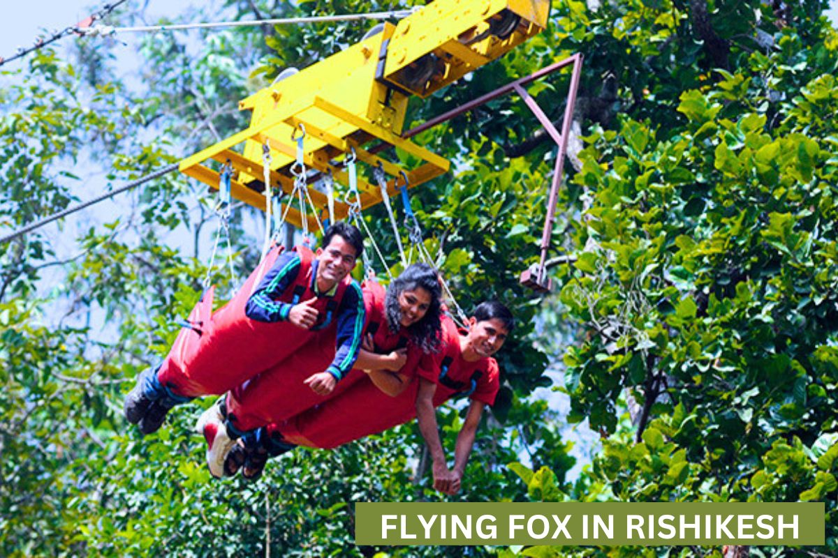 Flying Fox Adventure in Rishikesh