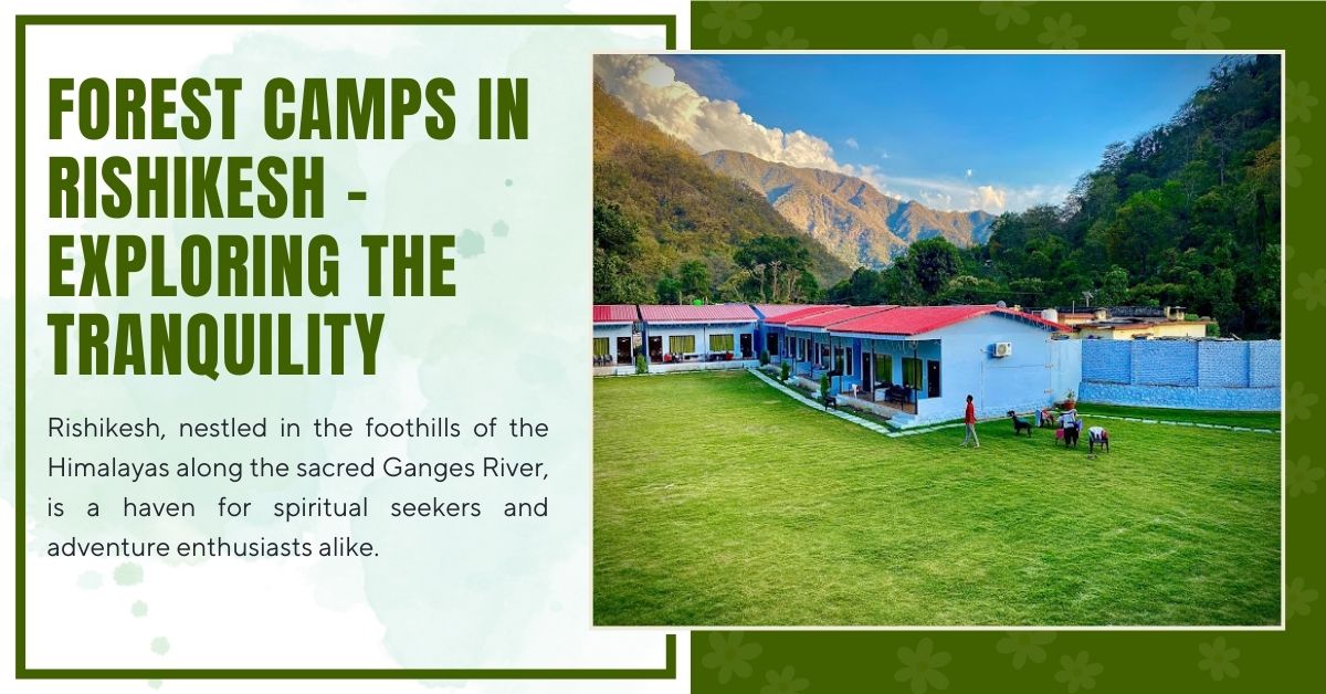 Forest Camps in Rishikesh